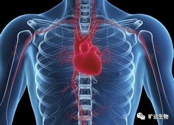 重磅推出最新欧洲共识解读：：：高尿酸血症和高心血管风险患者的诊断和治疗专家共识（2018）